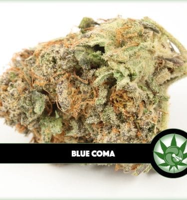 Blue Coma