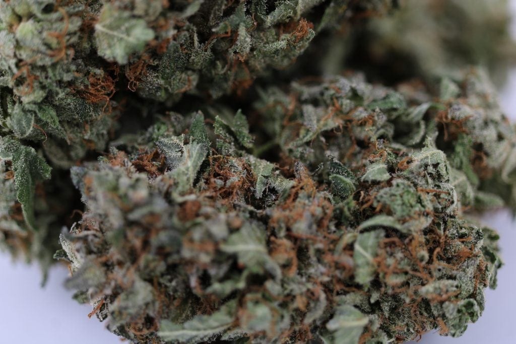 420spot Pink Kush Cannabis