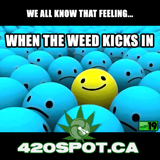 420 WEED KICKS IN
