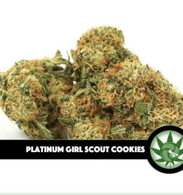 Platinum Girl Scout Cookies