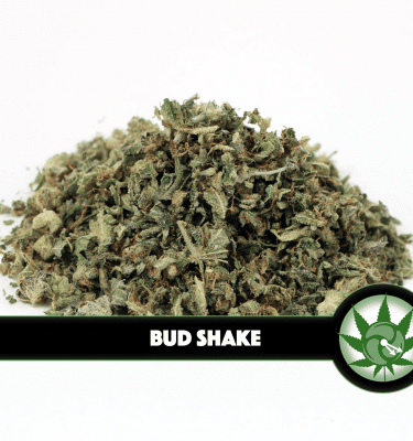 Bud Shake