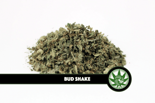 Bud Shake