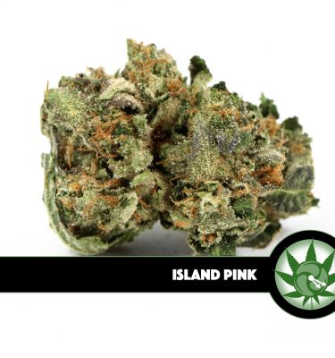 Island Pink