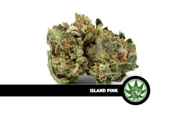 Island Pink