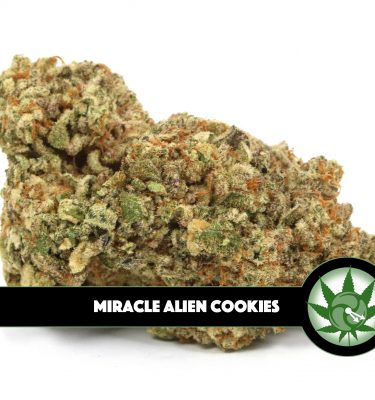 Miracle Alien Cookies