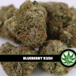 Blueberry Kush