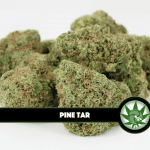 Pine Tar