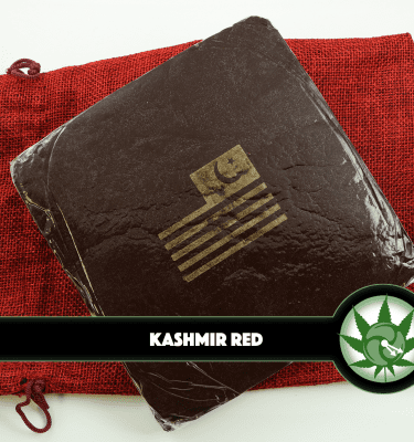 Kashmir Red