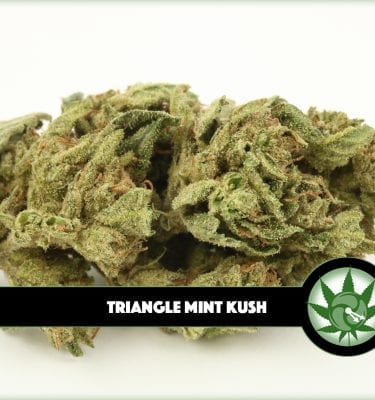 Triangle Mint Kush