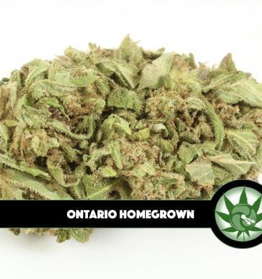 Ontario Homegrown