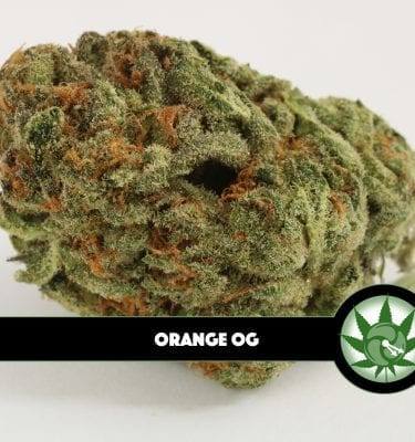 Orange OG