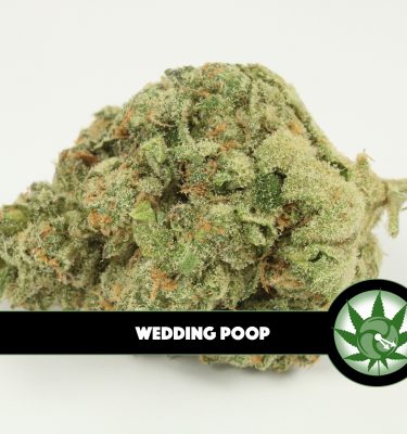 Wedding Poop