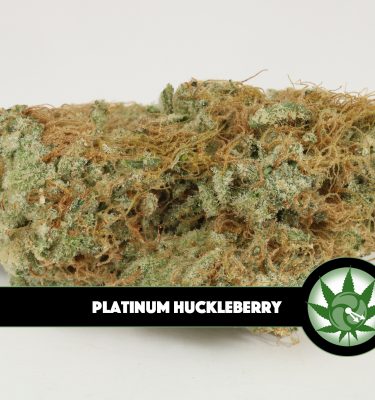 Platinum Huckleberry