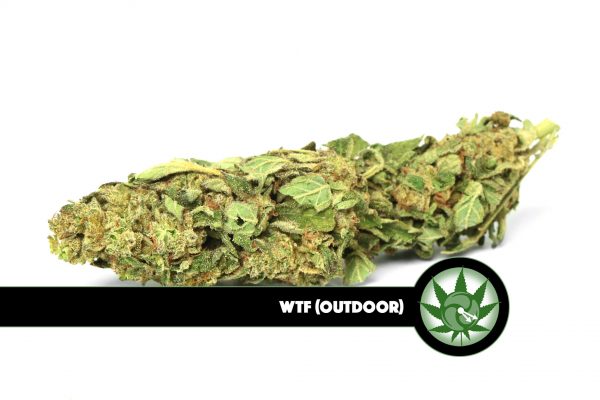 WTF-Where’s That From? (Outdoor)