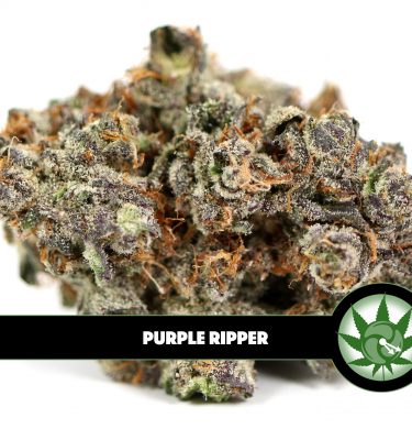 Purple Ripper