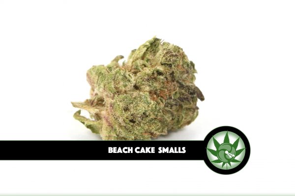 Beach Cake Smalls