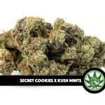 Secret Cookies X Kush Mints