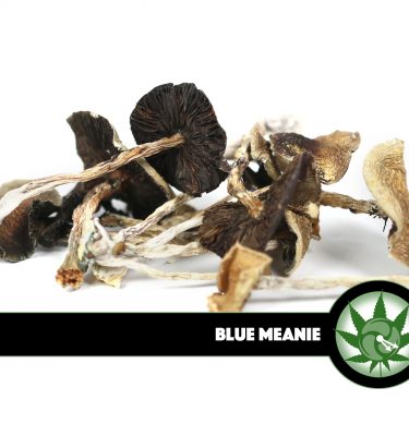 Blue Meanie Magic Mushrooms