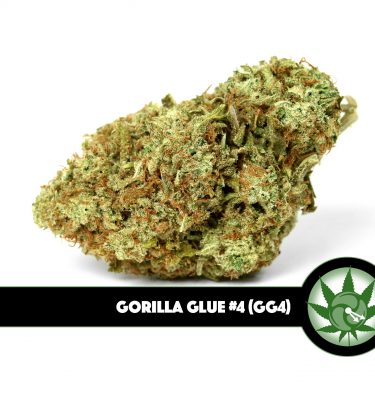 Gorilla Glue #4 (GG4)