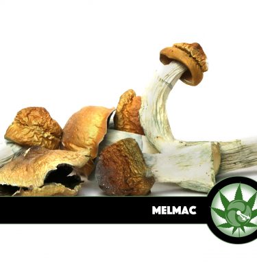 Melmac Magic Mushrooms