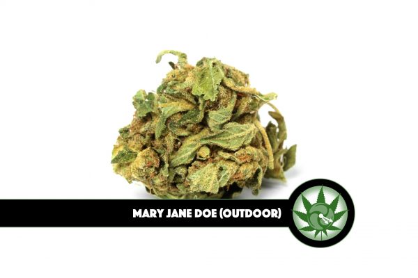 Mary Jane Doe