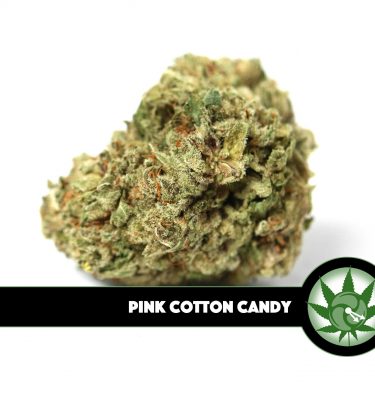 Pink Cotton Candy