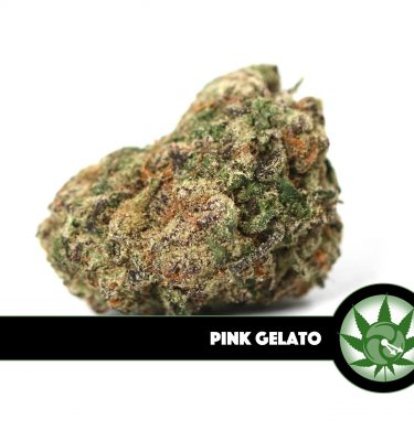 Pink Gelato