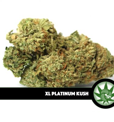 XL Platinum Kush