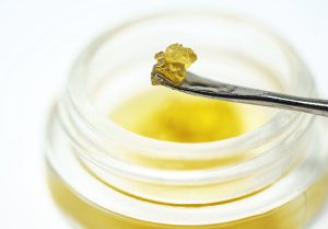 live resin sauce concentrate extracted from weed