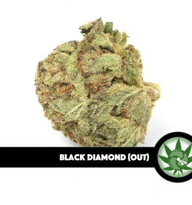 Black Diamond (Outdoor)