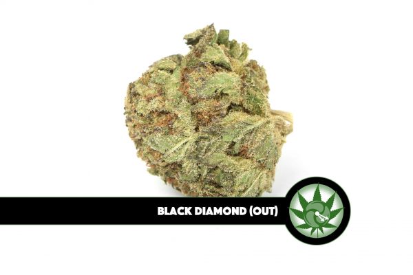 Black Diamond (Outdoor)