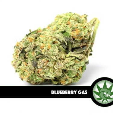 Blueberry Gas