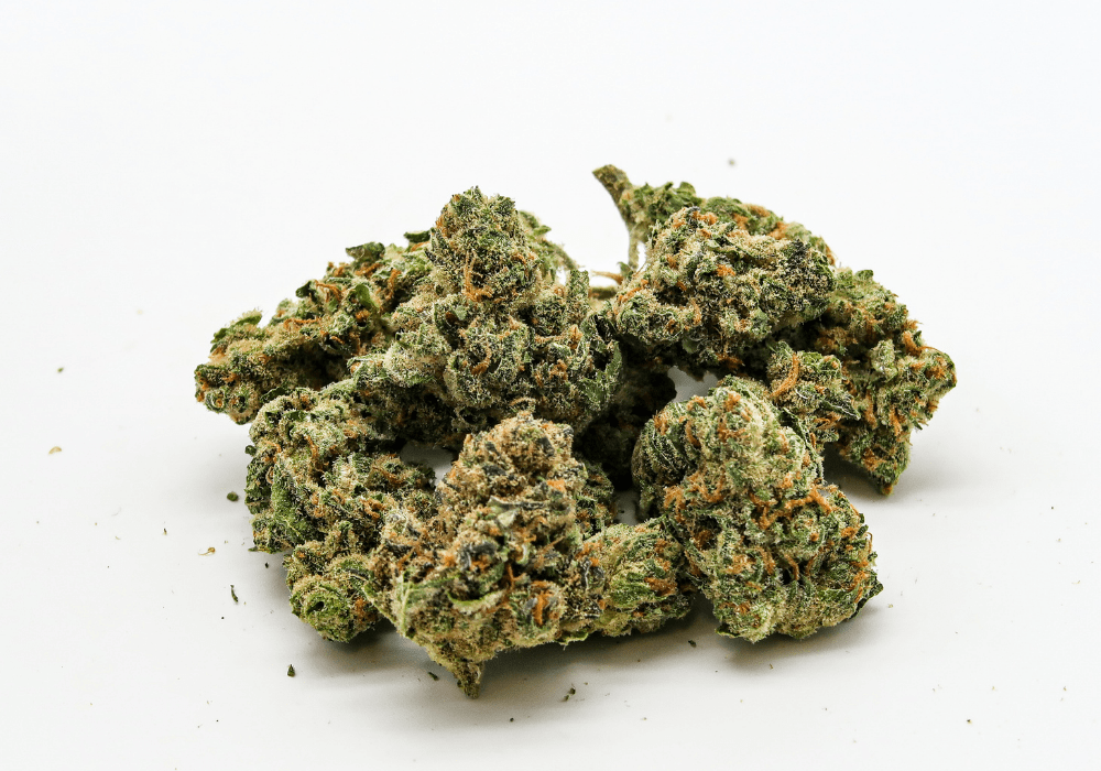 hybrid cannabis buds