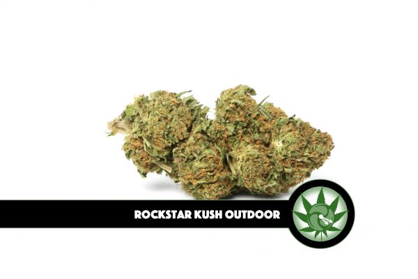 Rockstar Kush Outdoor