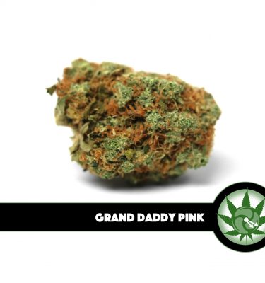 Grand Daddy Pink