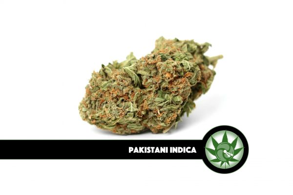 Pakistani Indica