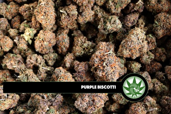 Purple Biscotti