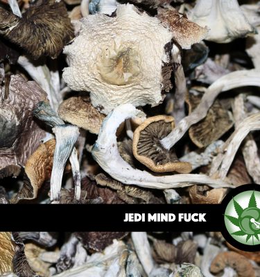 Jedi Mind Fuck
