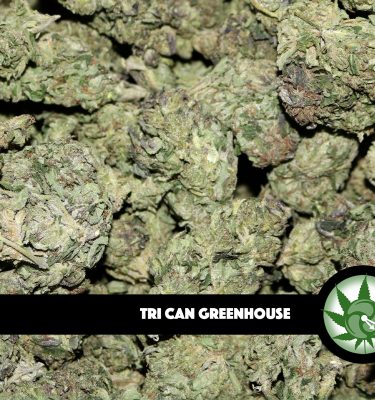 Tri Can Greenhouse