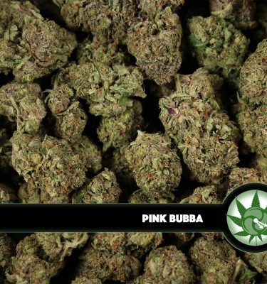 Pink Bubba