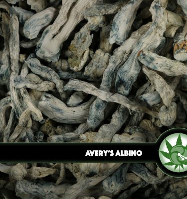 Avery’s Albino Magic Mushrooms