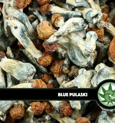 Blue Pulaski