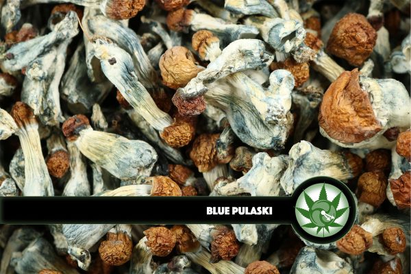 Blue Pulaski